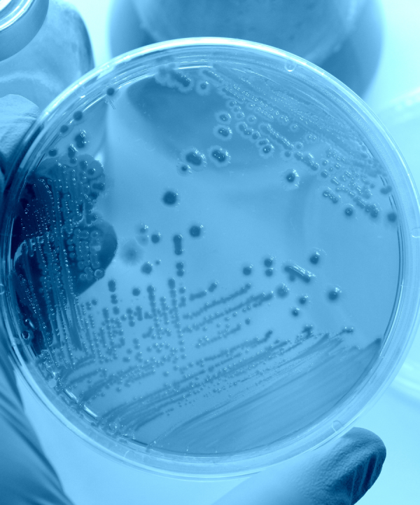 supplement-microbiological-testing