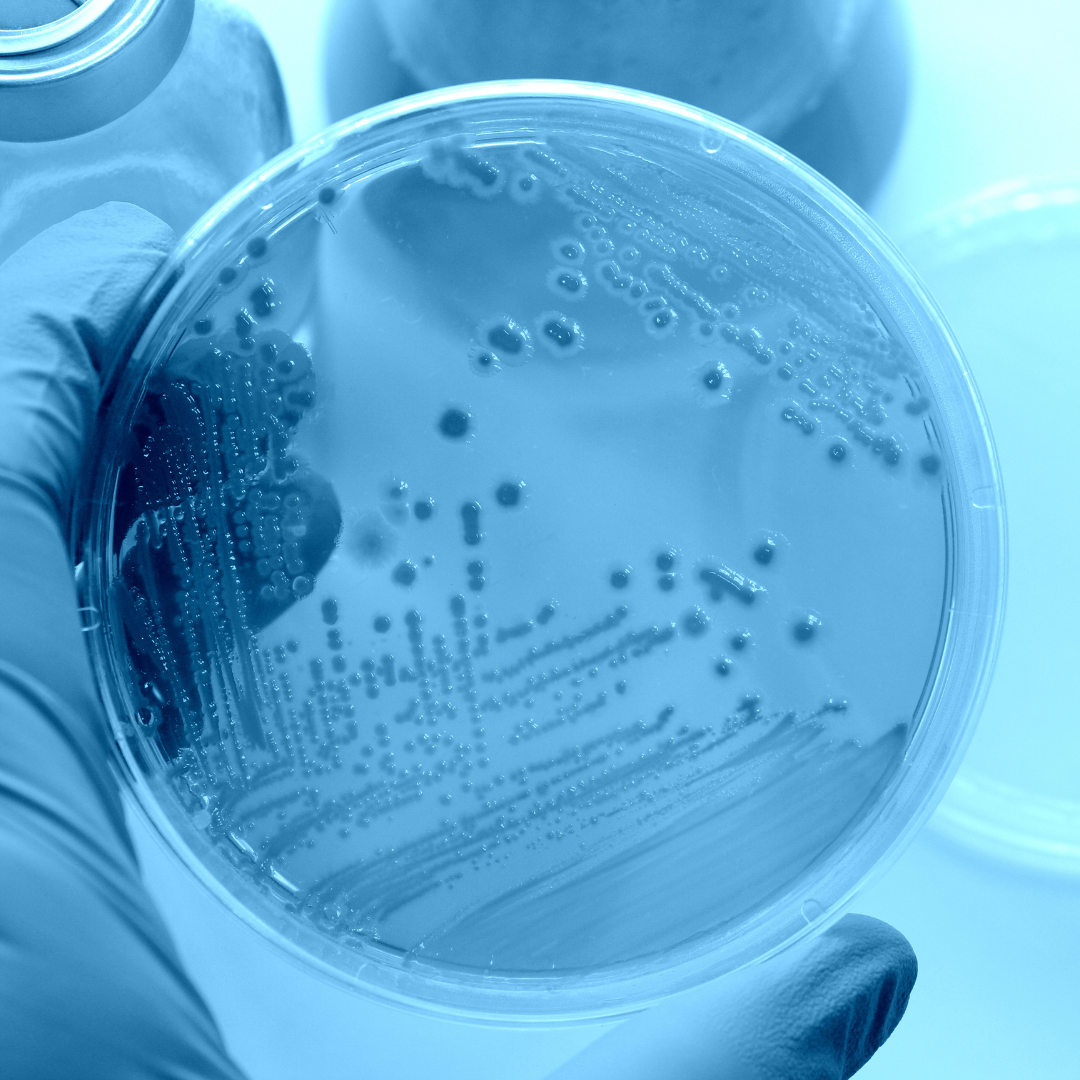 supplement-microbiological-testing